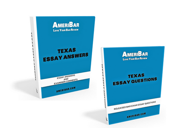 Essay Master Course